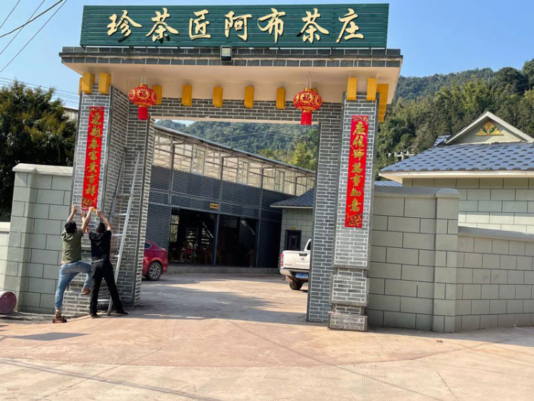 普洱茶