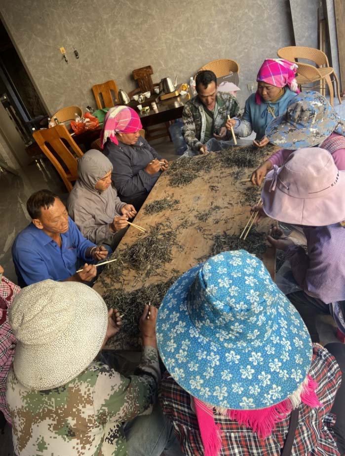 普洱茶