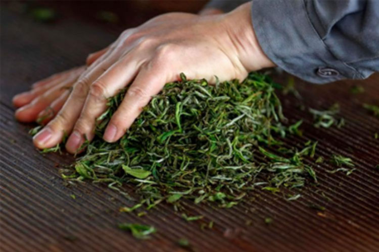 普洱茶