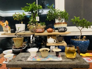 普洱茶